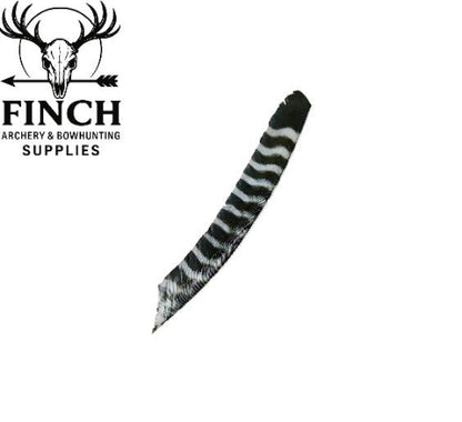 Truflight Full Length Barred Feathers 12pk